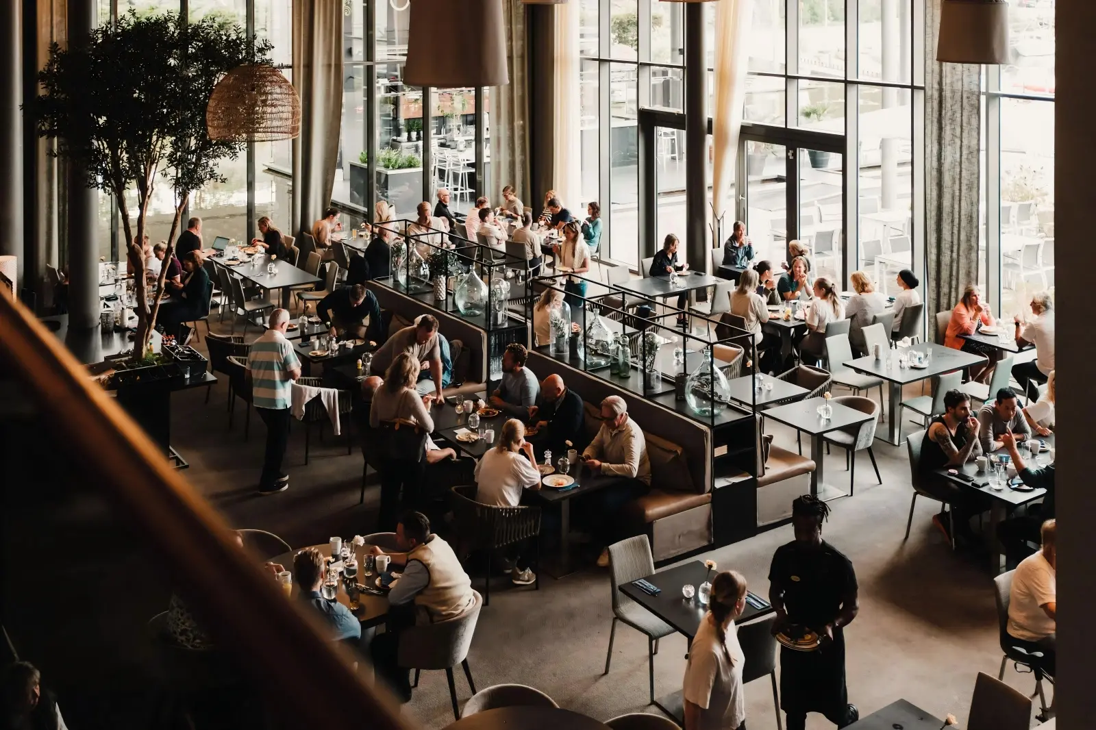 medium & large casual dining restaurants